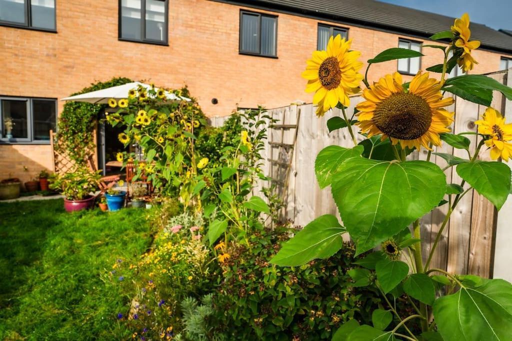 Artist's Garden On Wolsey Island Holiday home